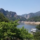 단양군시티투어 이미지