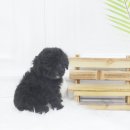 빈이랑은이랑 이미지