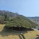 명문한우 | 공작새가 있는 9홀 편견을 깬 명문 용인 글렌로스 cc 라운딩 후기