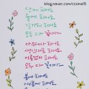 마인드셋