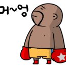 BOXING STORY 이미지