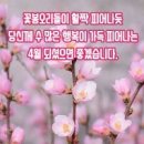 따뜻한봄날
