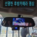 뉴성주카 이미지