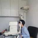 안경나래 이미지