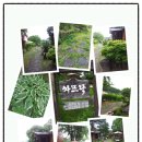 차뜨락 - 진주시 신평공원길 71 | 차뜨락