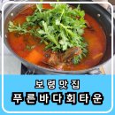 푸른자동차 | 보령 맛집 단체 모임으로 생우럭탕을 먹었던 푸른바다회타운