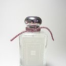 플럼블라썸(Plum Blossom) 이미지