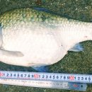 THE쉼오토캠핑장 이미지