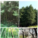 창평한마음요양병원 이미지