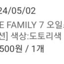 더페밀리