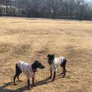 석우리천 공원 이미지