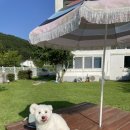 글램펜션 이미지