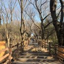 인천광역시 수봉궁도장 기타 | 인천 수봉공원 스카이워크 주말 데이트 주차장