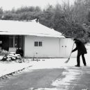 장동혁 카카오 검색결과