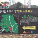 장학리노루목길(봄내길 8코스) 티스토리