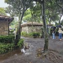 송당승마장 이미지