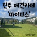 시원애견간식 | 진주애견카페, 강아지간식맛집 &#39;마이피스&#39; 내돈내산 방문후기