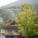 노르웨이식당 이미지