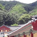 보은하다 이미지