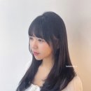 베르트본태 네이버블로그