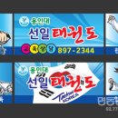 용인대 선일태권도 이미지