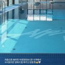 알프스가든 | 대전 알프스다이빙 15m 수심 풀장 광주 에서 다녀온 후기