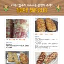 비에스엠 - 수원시 권선구 | 비에스엠푸드 찰옥수수 특가