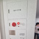 대도장 이미지