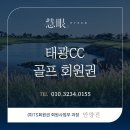 씨앤제이부동산중개 | 태광CC 회원권의 모든 것⛳ 서울 곁에 펼쳐진 36홀, 유연하게 흐르는 다채로운 특권