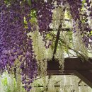 구례백두대간생태교육장 이미지