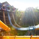 츄러스1500 이미지