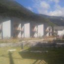 가족팬션 오늘 이미지