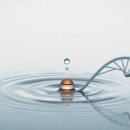 기아클리닉영양점 | 연예인 물단식 부작용 탈모 및 생리 불순 후기 데이터 분석과 위험성