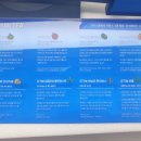 사우스카페