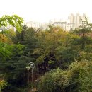 고척근린공원 이미지