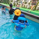 아트 | 해루질하고 싶어서 급으로 잡은 청포대키즈아트펜션