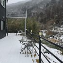 신촌지락 이미지