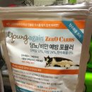 영어게인 이미지