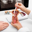 온맘여성한의원 부산덕천 이미지