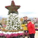 18.10.28. 대전 국화축제 이미지