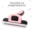 델리펫 네이버블로그