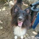 마치집인냥 이미지