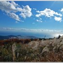 해운대에 올라 이미지