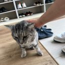 청주다이어트킹 이미지