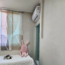 고대 스테이 이미지