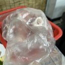 둥지실내마차 네이버블로그
