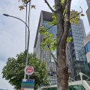 양재역 11번출구 이미지