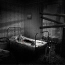 더하우스 이미지