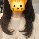 설하헤어 이미지