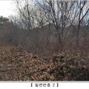 무릉도원면-25 이미지